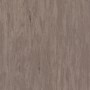 standard-dark-beige-0482